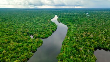 Aerial,View,Of,The,Lush,Amazon,Rainforest,,With,A,Winding